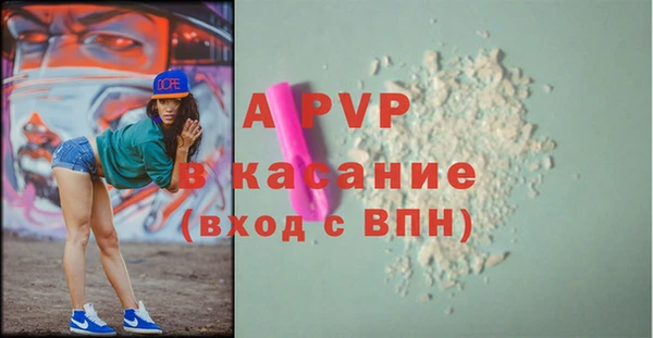 прущие грибы Абаза