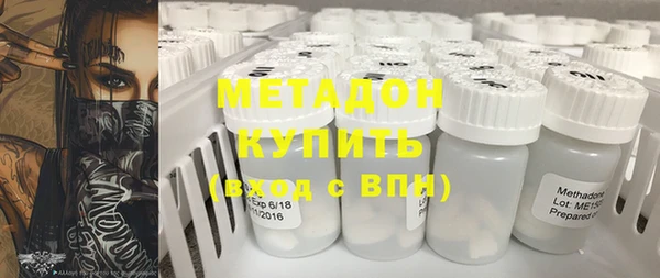 прущие грибы Абаза