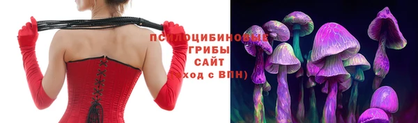 ешки Абинск