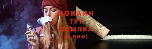 молекула духа Грязовец