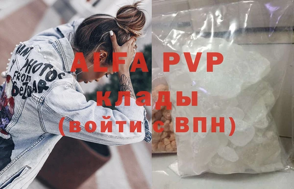 прущие грибы Абаза