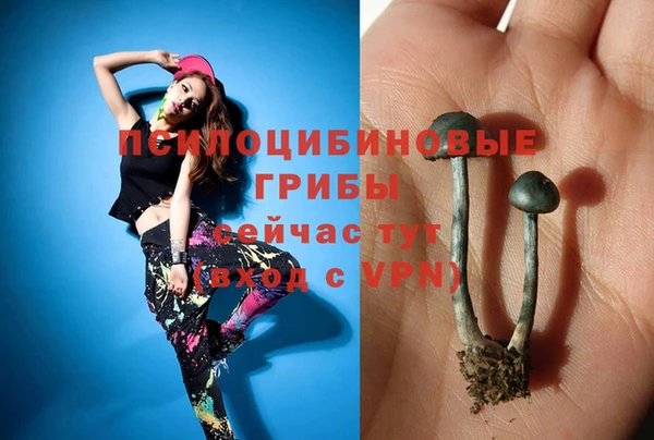 ешки Абинск