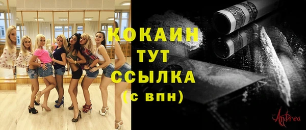 прущие грибы Абаза