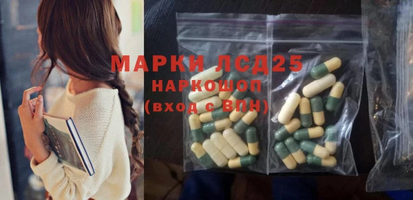 прущие грибы Абаза